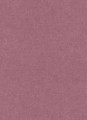 Tapeta 10430-06 GENTLE