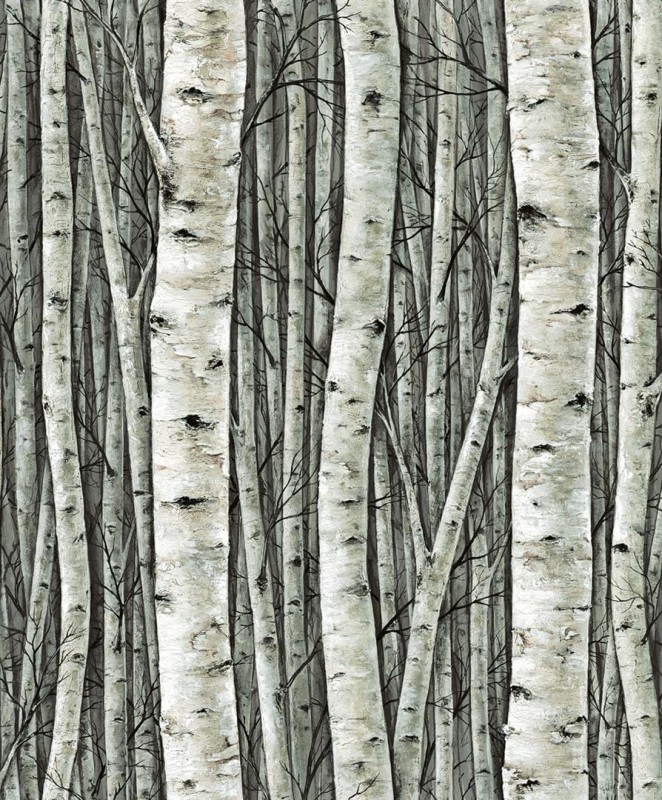 Tapeta 35380 Timber