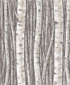 Tapeta 35394 Timber
