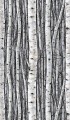 Mural Tapeta 35395 Timber