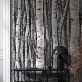 Mural Tapeta 35395 Timber