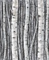 Tapeta 35397 Timber