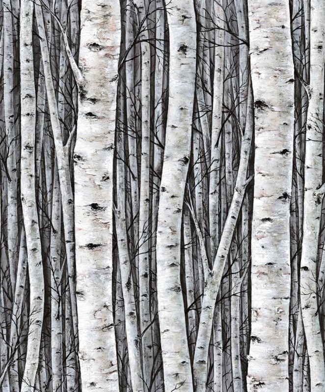 Tapeta 35397 Timber