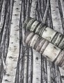 Tapeta 35397 Timber