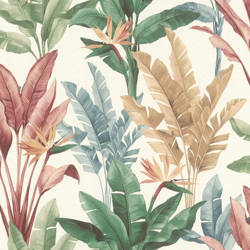 Tapeta 793512 Allegretto