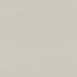 Tapeta 542479 Allegretto