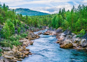 FOTOTAPETA MURAL ŚCIENNY 363272 MAGIC WALLS