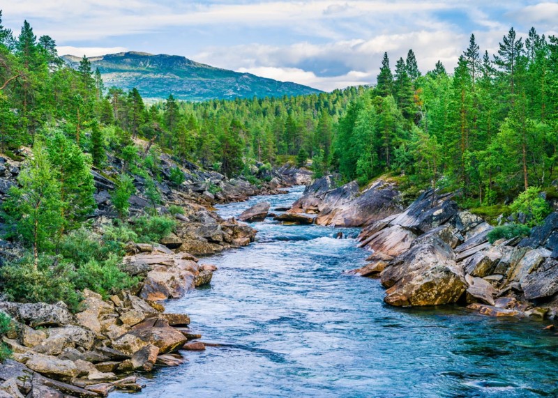 FOTOTAPETA MURAL ŚCIENNY 363272 MAGIC WALLS