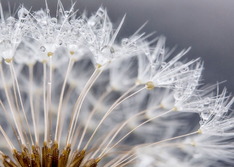 FOTOTAPETA MURAL ŚCIENNY 363333 MAGIC WALLS