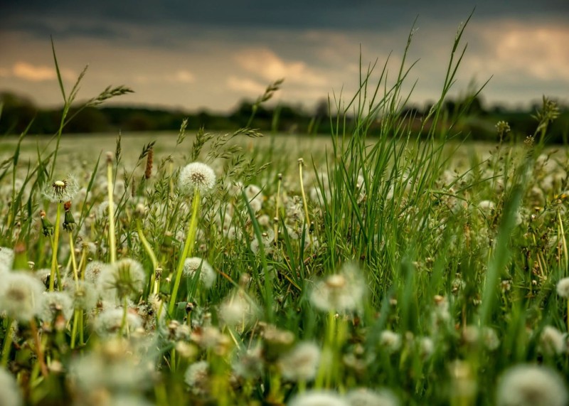 FOTOTAPETA MURAL ŚCIENNY 363357 MAGIC WALLS