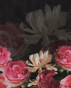 FOTOTAPETA MURAL ŚCIENNY 363470 MAGIC WALLS