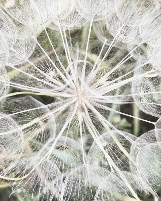 9386ad93b05eeac0009ca26419984423