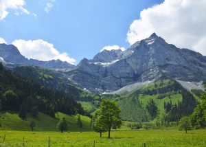 FOTOTAPETA MURAL ŚCIENNY 364651 MAGIC WALLS
