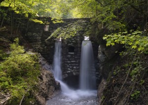 FOTOTAPETA MURAL ŚCIENNY 364668 MAGIC WALLS