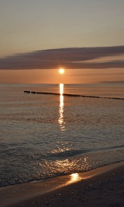 FOTOTAPETA MURAL ŚCIENNY 364682 MAGIC WALLS