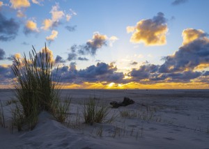 FOTOTAPETA MURAL ŚCIENNY 364699 MAGIC WALLS