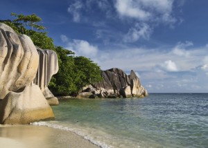 FOTOTAPETA MURAL ŚCIENNY 364705 MAGIC WALLS