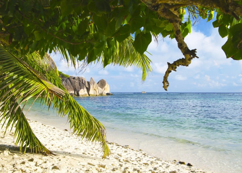 FOTOTAPETA MURAL ŚCIENNY 364712 MAGIC WALLS