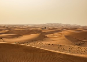 FOTOTAPETA MURAL ŚCIENNY 862430 MAGIC WALLS