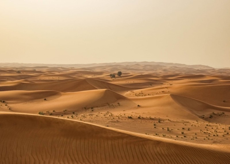 FOTOTAPETA MURAL ŚCIENNY 862430 MAGIC WALLS