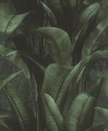 TAPETA 416237 BACK TO NATURE