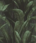 TAPETA 416237 BACK TO NATURE