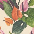 Tapeta 78210-1 Anna d’Andrea