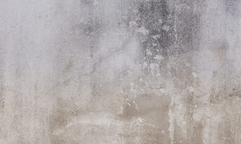 Mural fototapeta 2251-10 Rough - Zoom