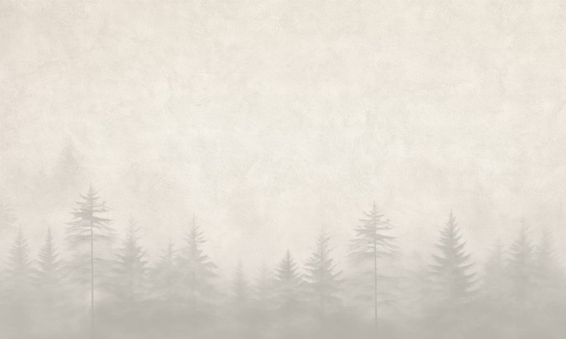 Mural fototapeta 22027-07-01 Dawn - Big Pictures / DY9123-07-01 Silent Woods - ZOOM 2