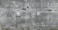 FOTOTAPETA 445503 FACTORY II