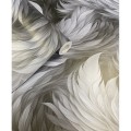 muriva-217503-plumes-black-wallpaper-p1293-4187_image.jpg