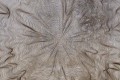 Mural fototapeta 2514N-11 Warp - Zoom
