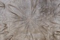 Mural fototapeta 2514N-11 Warp - Zoom