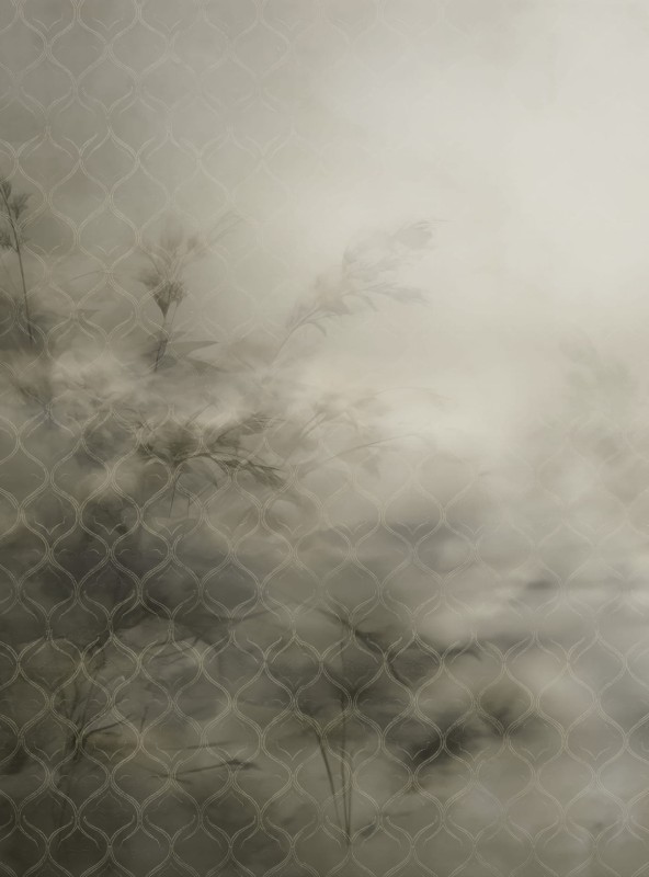 Mural fototapeta 22046-03-01 Mystic Garden - Big Pictures / DY9142-03-01 Sunlit Shadows - ZOOM 2