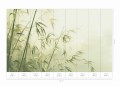 Mural fototapeta 22016-07-01 Bamboo - Big Pictures / DY9113-07-01 Zen Breeze - ZOOM 2