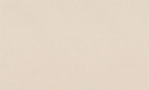 Tapeta 820010 Wall Textures XL vol.3 106cm