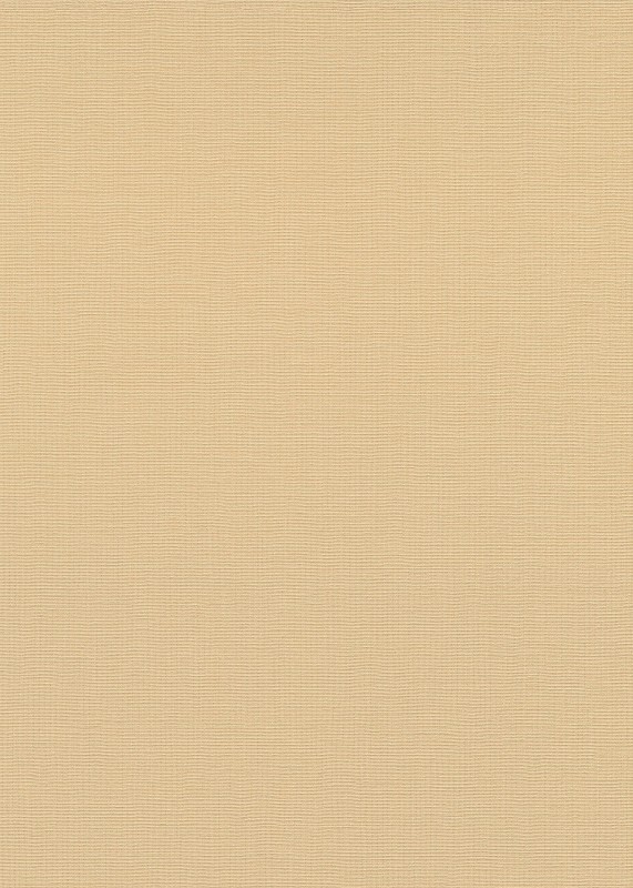 TAPETA 10262-04 LA TERRASSE