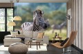 Fototapeta na Flizelinie MS-5-0456 Zebra Stepowa 375 x 250 cm