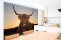 Fototapeta na Flizelinie MS-5-0462 Scottish Highland Cattle 375 x 250 cm