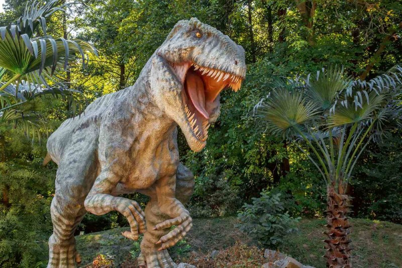Fototapeta na Flizelinie MS-5-0467 model Tyrannosaurus Rex 375 x 250 cm