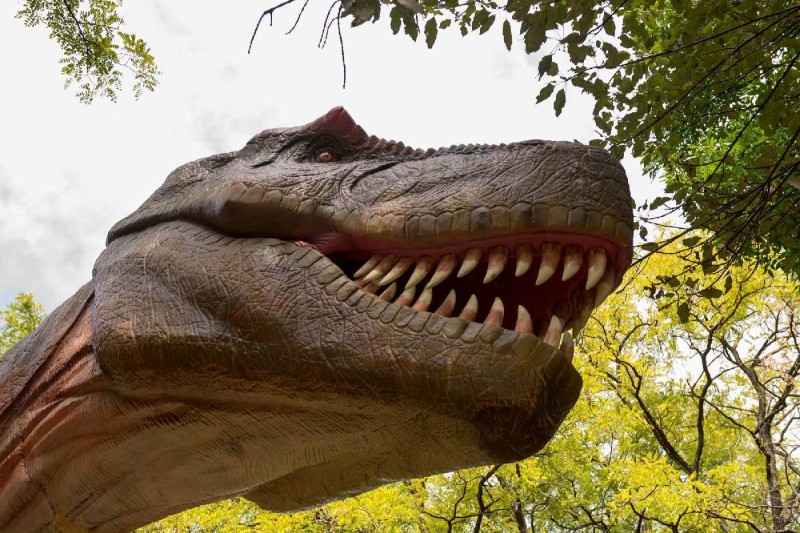 Fototapeta na Flizelinie MS-5-0468 głowa T-Rexa 375 x 250 cm