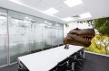 Fototapeta na Flizelinie MS-5-0468 głowa T-Rexa 375 x 250 cm