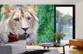 Fototapeta na Flizelinie MS-5-0602 Głowa Lwa 375 x 250 cm