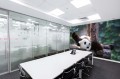 Fototapeta na Flizelinie MS-5-0623 Panda 375 x 250 cm