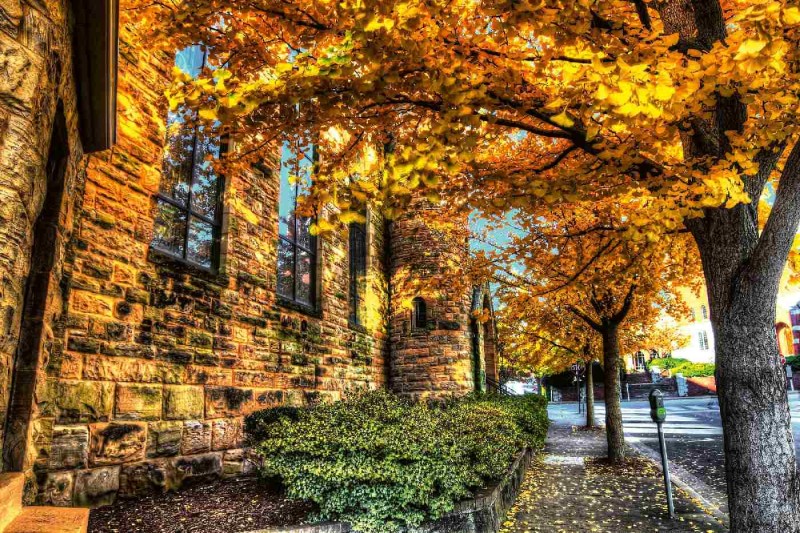 Fototapeta na Flizelinie MS-5-0631 Jesień w mieście 375 x 250 cm