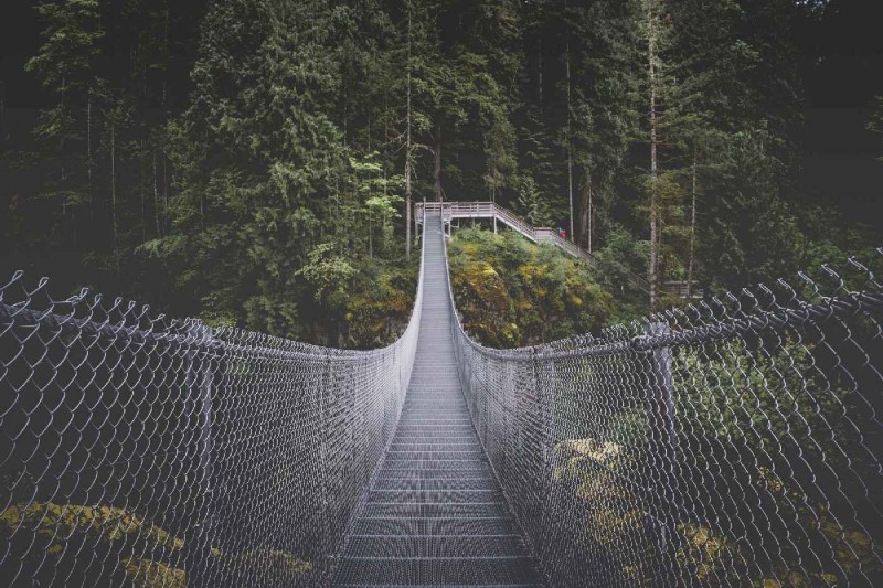 Fototapeta na Flizelinie MS-5-0639 Vancouver Island 375 x 250 cm