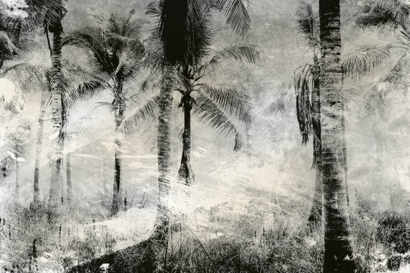 Fototapeta na Flizelinie MS-5-0374 Palma abstrakcja 375 x 250 cm