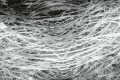 Fototapeta na Flizelinie MS-5-0382 Abstrakcyjna Siano II. 375 x 250 cm