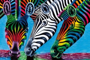 Fototapeta na Flizelinie MS-5-0392 Stone Town Zanzibar 375 x 250 cm