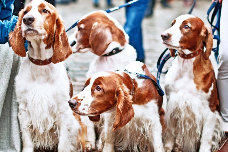 b42d66713c4f9151f7afb339dab9941d